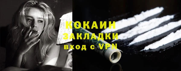 гашик Горняк