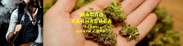 гашик Горняк