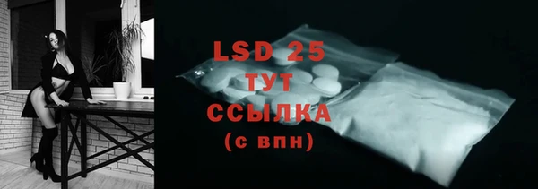 гашик Горняк