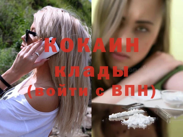 гашик Горняк