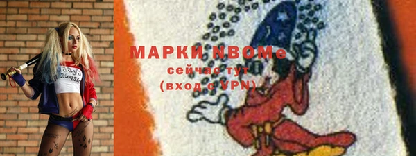 гашик Горняк