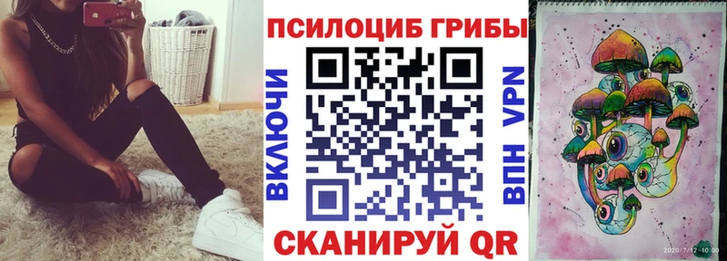 как найти наркотики  Закаменск  mega как зайти  Галлюциногенные грибы Psilocybe 